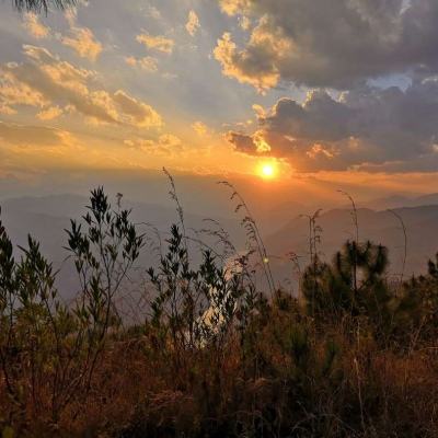 28网站下载手机版