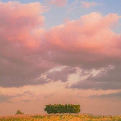 kaiyun·体育下载手机版