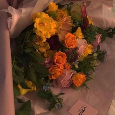 m6米乐手机登陆入口