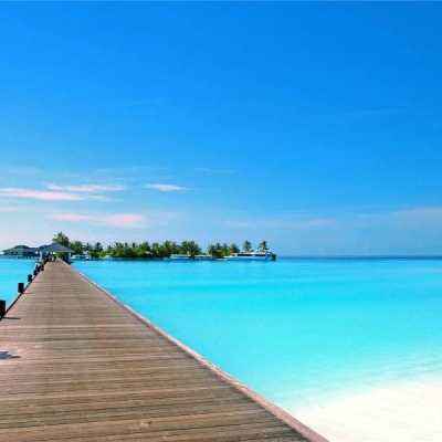 2023年香港资料精准