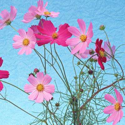 pg电子娱乐官网游戏下载手机版